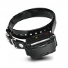 Dogtra IQ ontvanger
