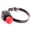 Pac Mini ontvanger met oplader.