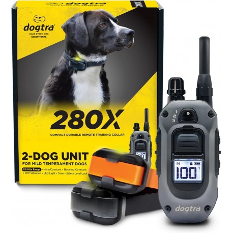 Dogtra 602X.