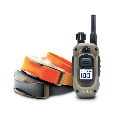 Dogtra 1202X.